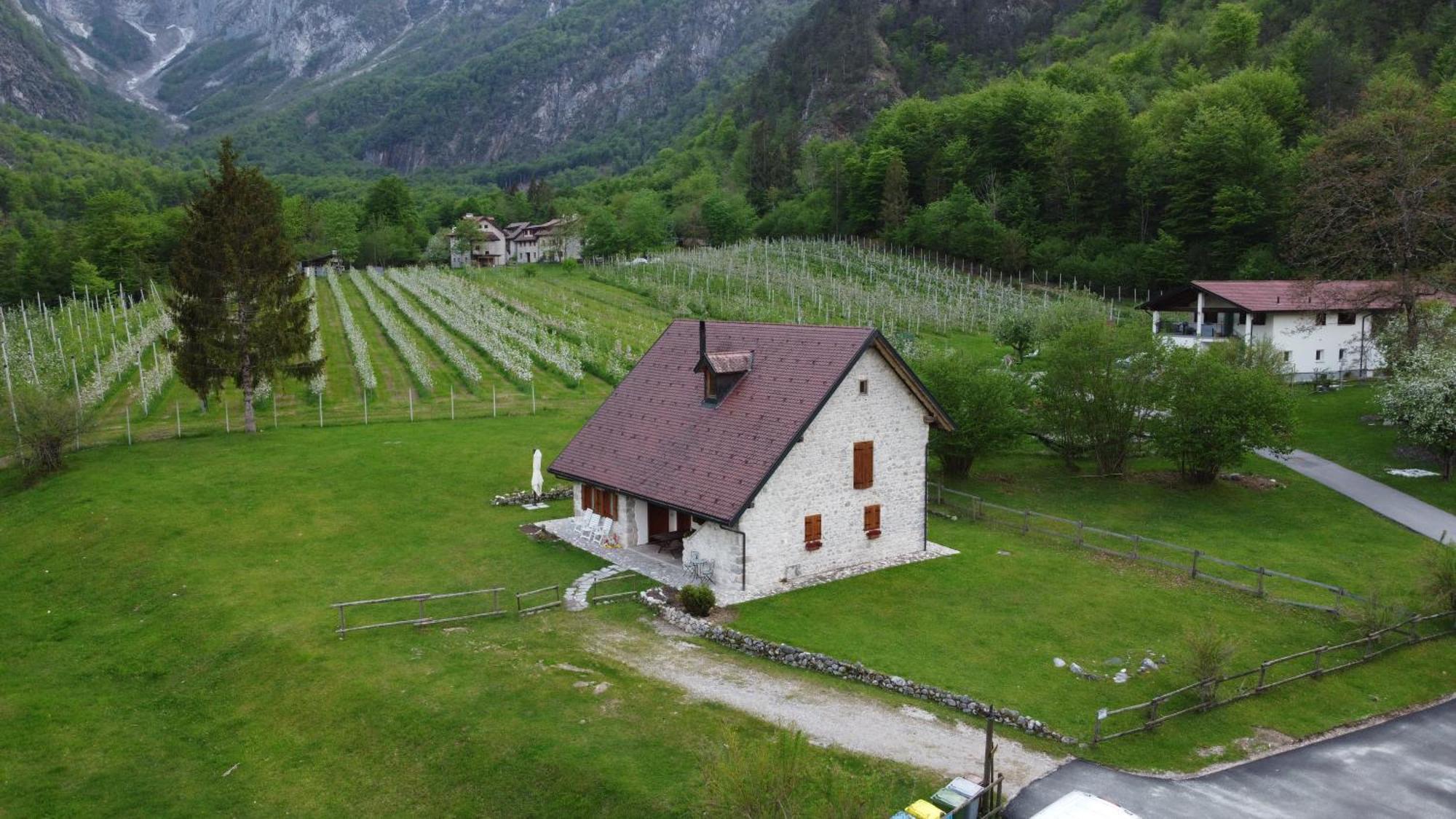 Agriturismo Pian Dei Tass Barcis Exterior photo
